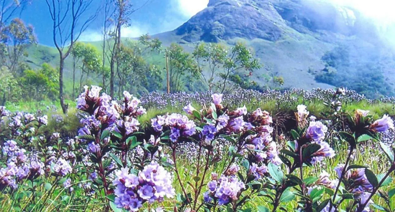 Seven Springs Resort Munnar Hotel