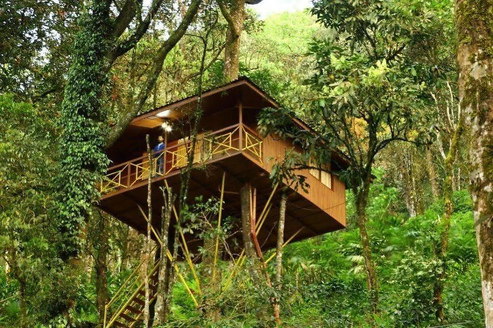 Seven Springs Resort Munnar Hotel