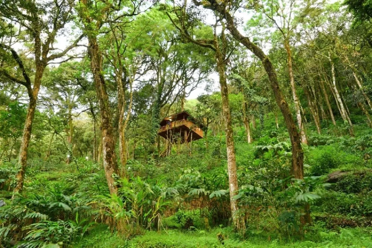 Seven Springs Resort Munnar India